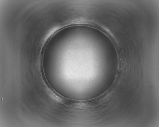 X0000078231463200611100957
