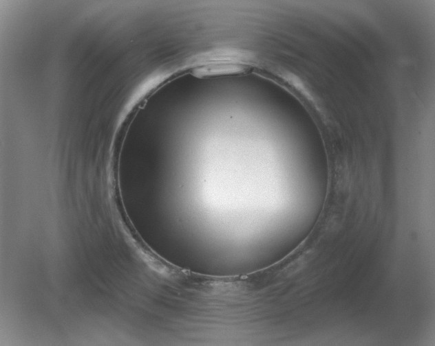 X0000078231469200611100957