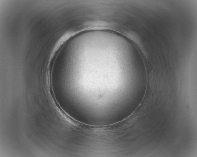 X0000078231472200611100957