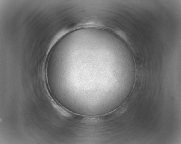 X0000078231474200611100957