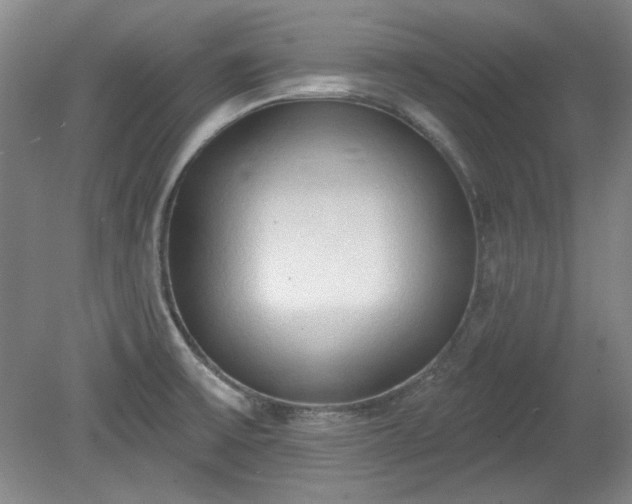 X0000078231475200611100957