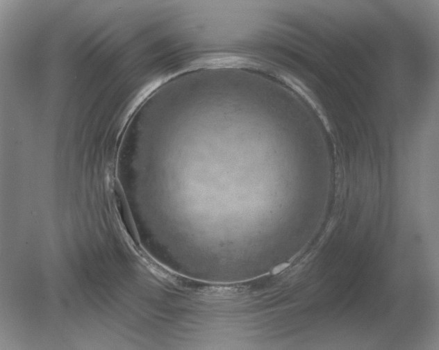 X0000078231481200611100956