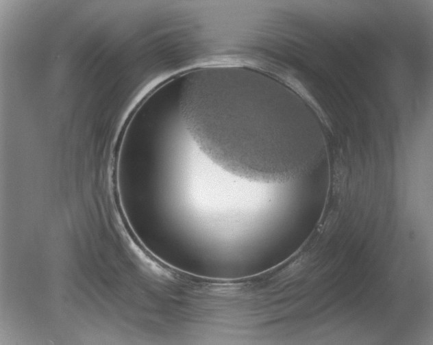 X0000078231484200611100956