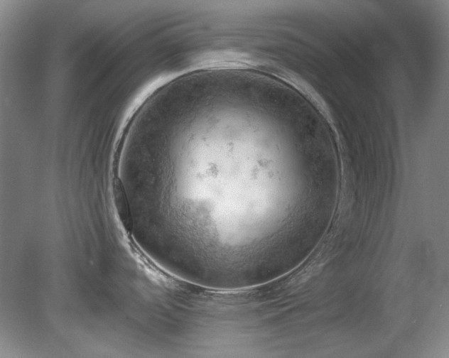 X0000078231488200611100956