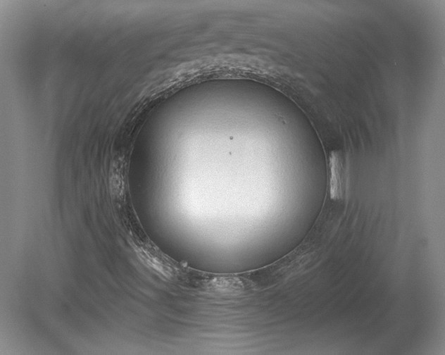 X0000078231491200611100956