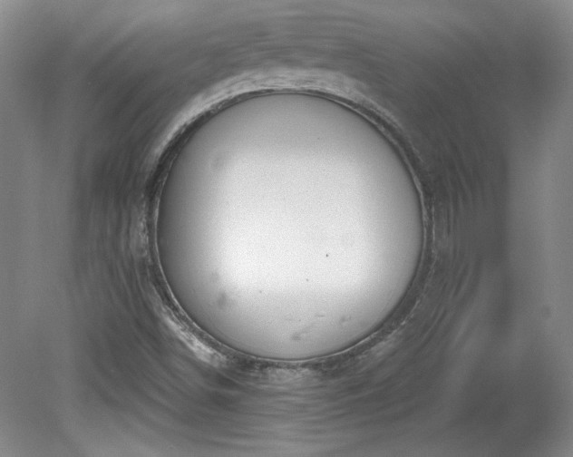 X0000078231498200611100956