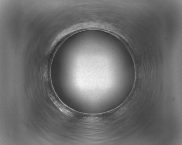X0000078231499200611100956