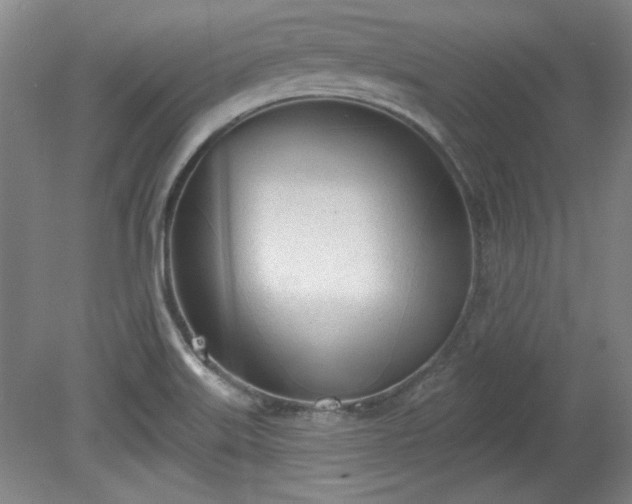 X0000078231515200611100956
