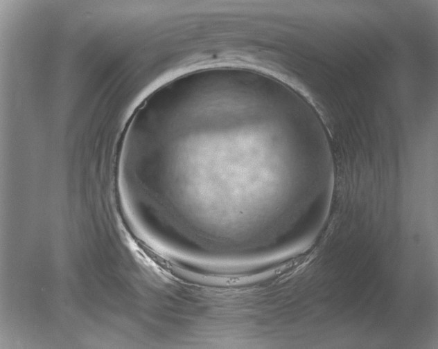 X0000078231534200611100956