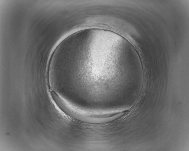 X0000078231536200611100956