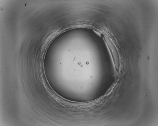 X0000078230001200611171445