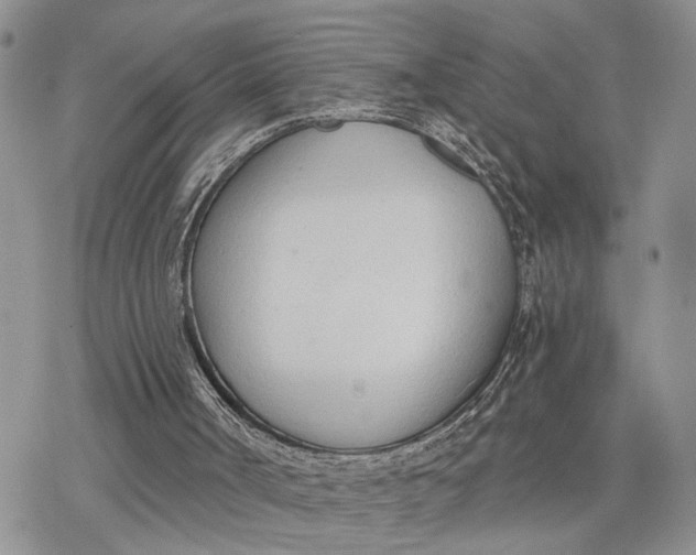 X0000078230002200611171445