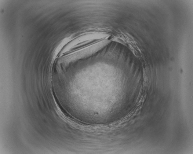 X0000078230003200611171445