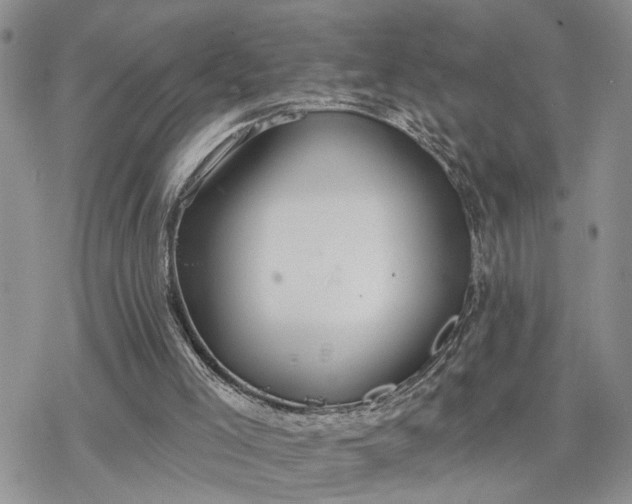 X0000078230005200611171445