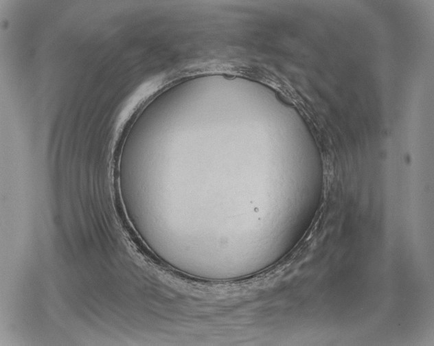 X0000078230006200611171445