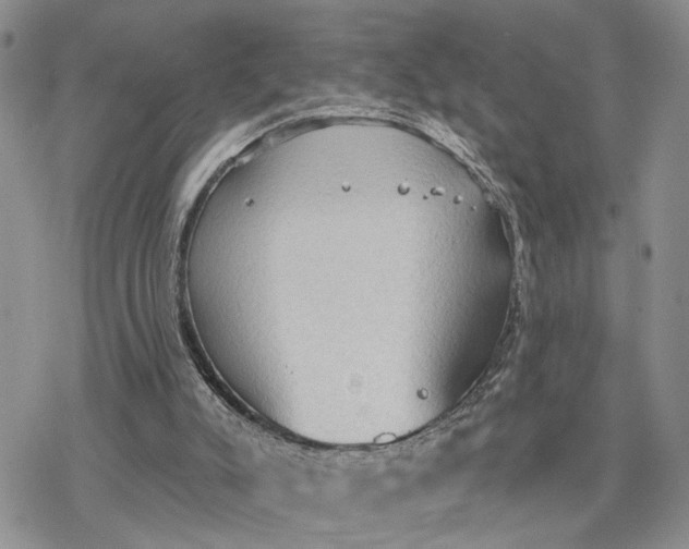 X0000078230007200611171445