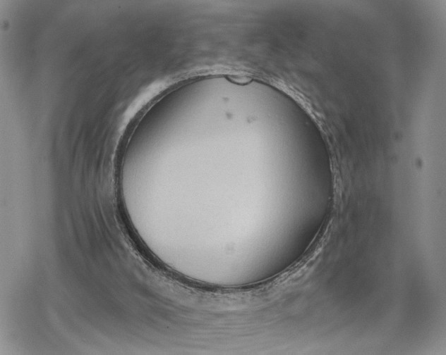 X0000078230008200611171445