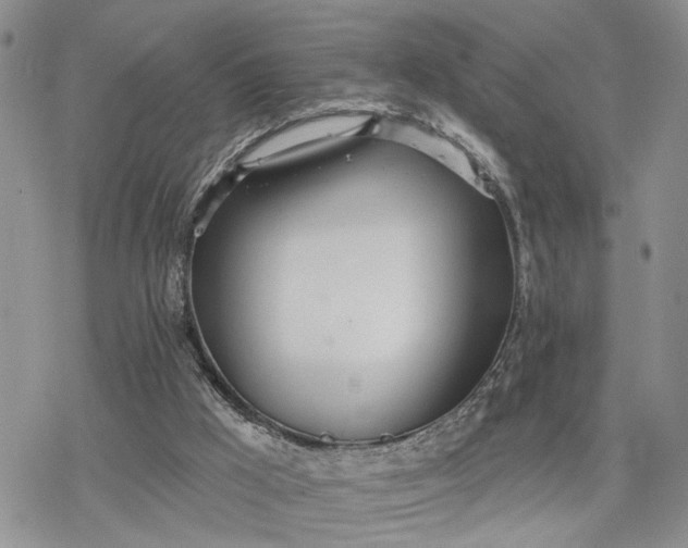 X0000078230009200611171445