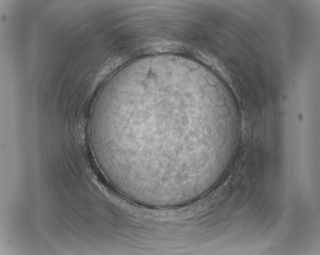 X0000078230010200611171445