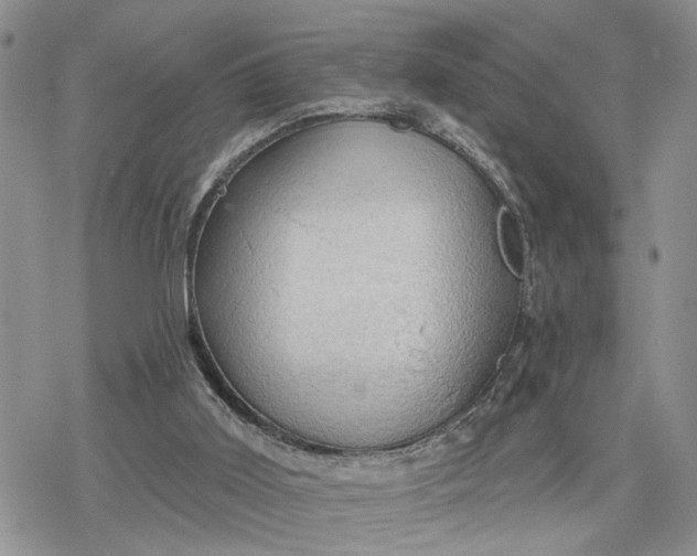 X0000078230011200611171445