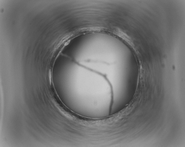 X0000078230013200611171445