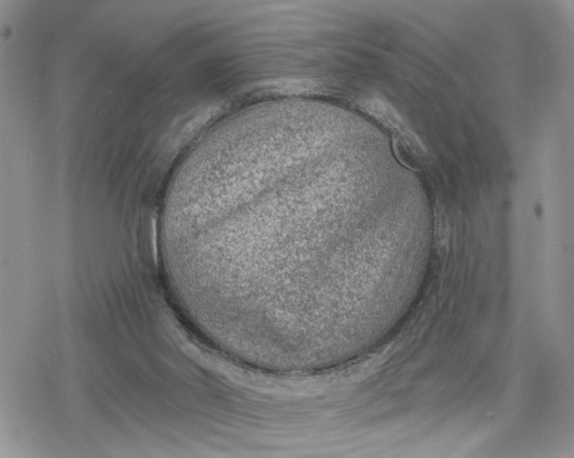 X0000078230014200611171445