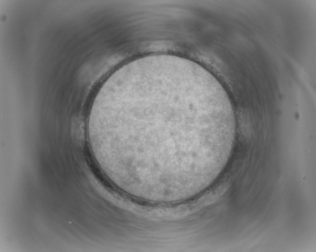 X0000078230016200611171445