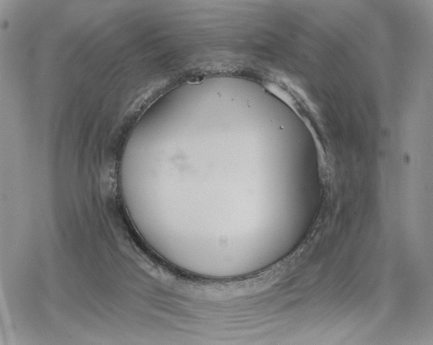 X0000078230017200611171445