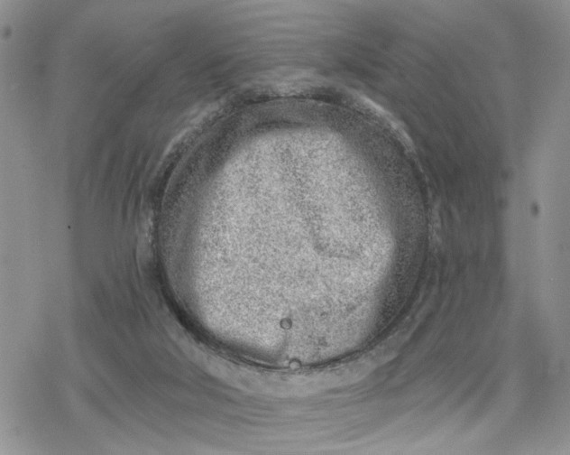 X0000078230018200611171445