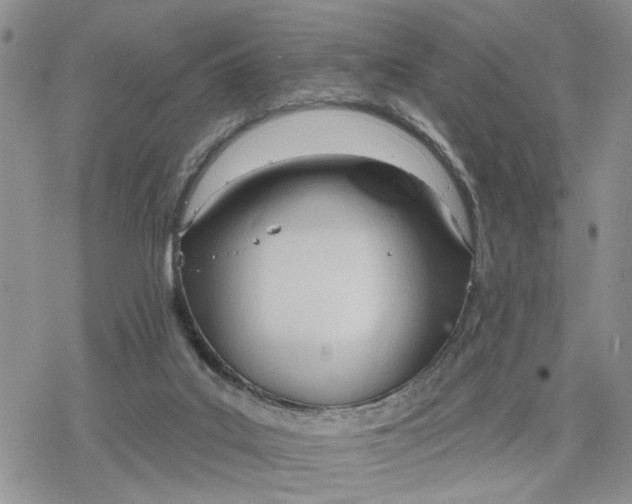 X0000078230019200611171445