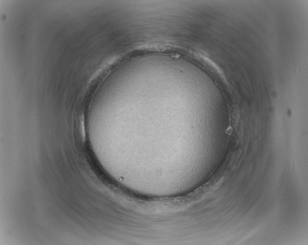 X0000078230020200611171445