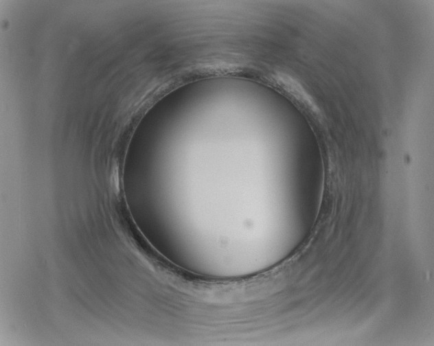 X0000078230021200611171445