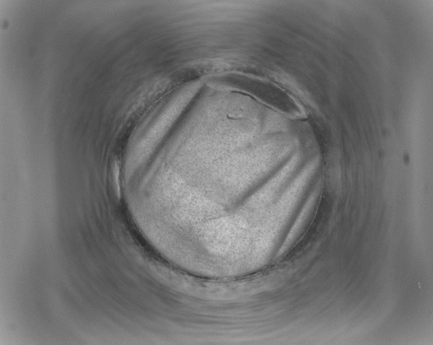 X0000078230022200611171445