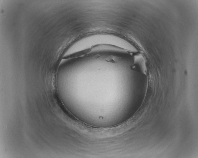 X0000078230023200611171445