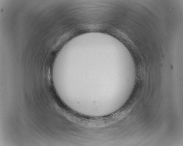 X0000078230024200611171445