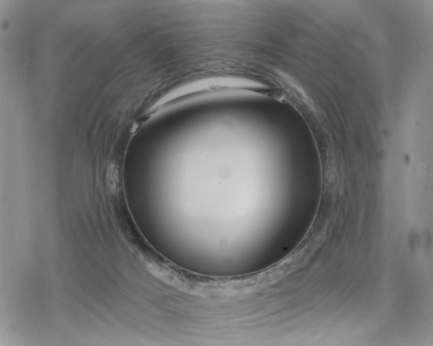 X0000078230025200611171445