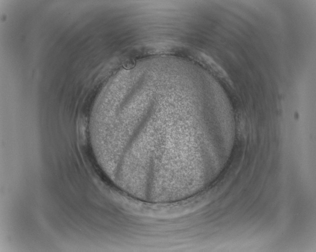 X0000078230026200611171445