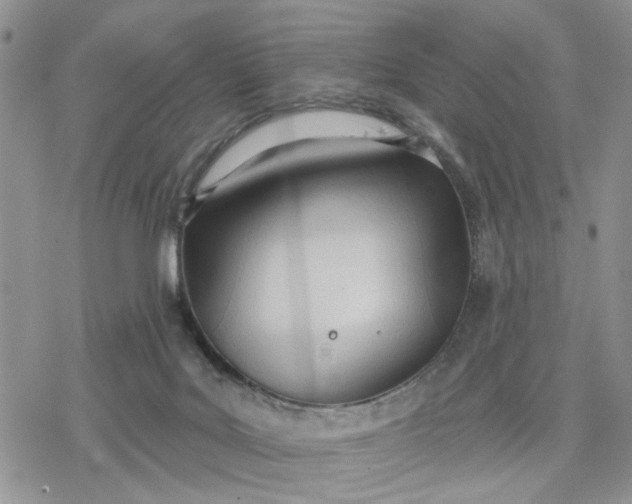 X0000078230027200611171445