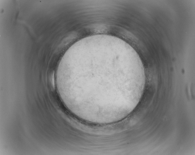 X0000078230028200611171445