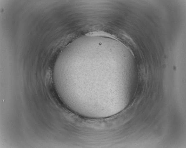 X0000078230029200611171445