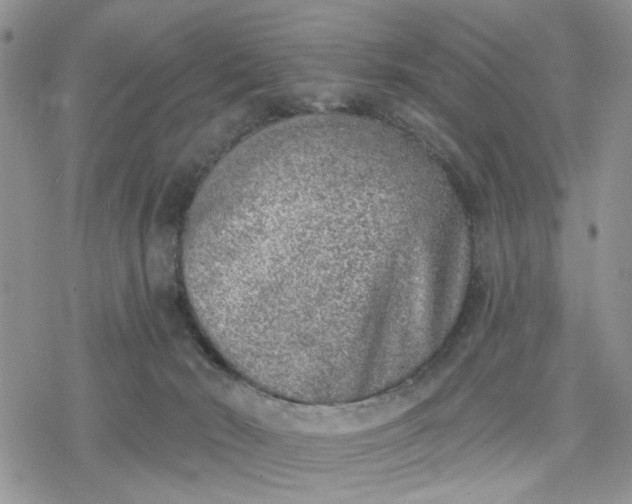 X0000078230030200611171445