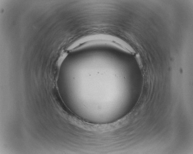 X0000078230031200611171445