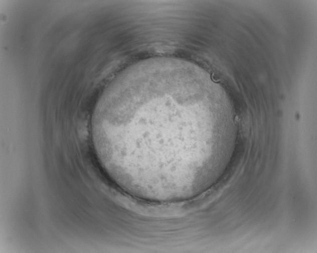 X0000078230032200611171445