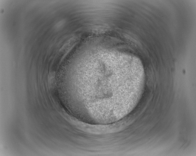 X0000078230034200611171445