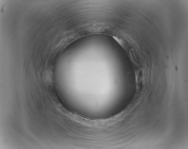 X0000078230035200611171445