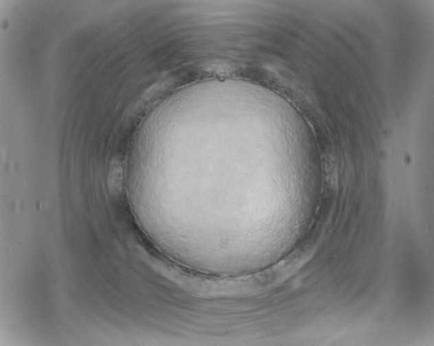 X0000078230036200611171445