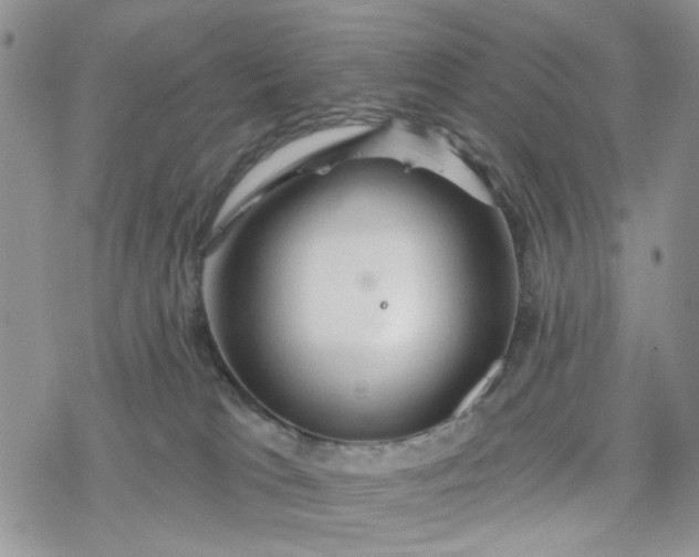 X0000078230037200611171445