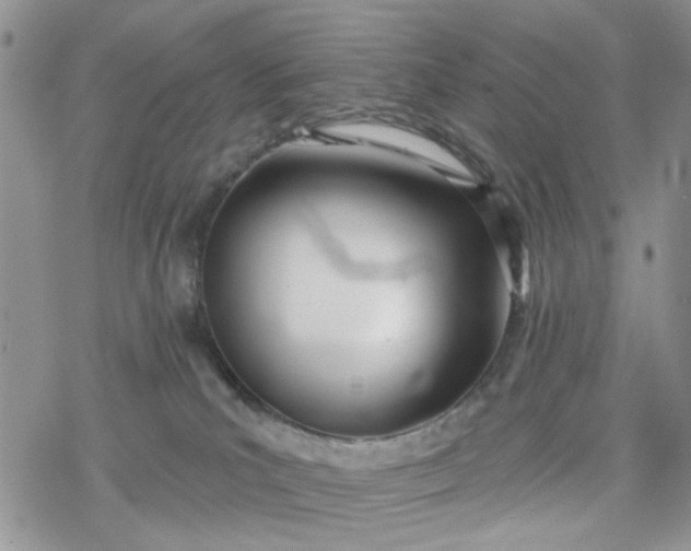 X0000078230039200611171444