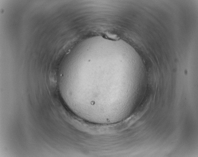 X0000078230040200611171444