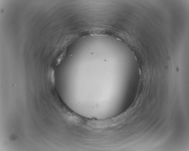 X0000078230041200611171444